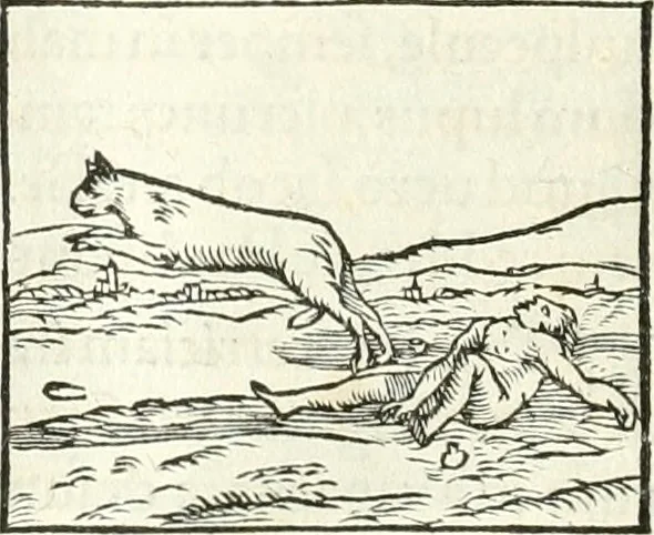An illustration from Hieroglyphica, sive, De sacris Aegyptiorvm literis commentarii, 1556, leaf 163