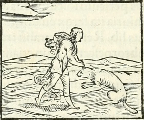 An illustration from Hieroglyphica, sive, De sacris Aegyptiorvm literis commentarii, 1556, leaf 165