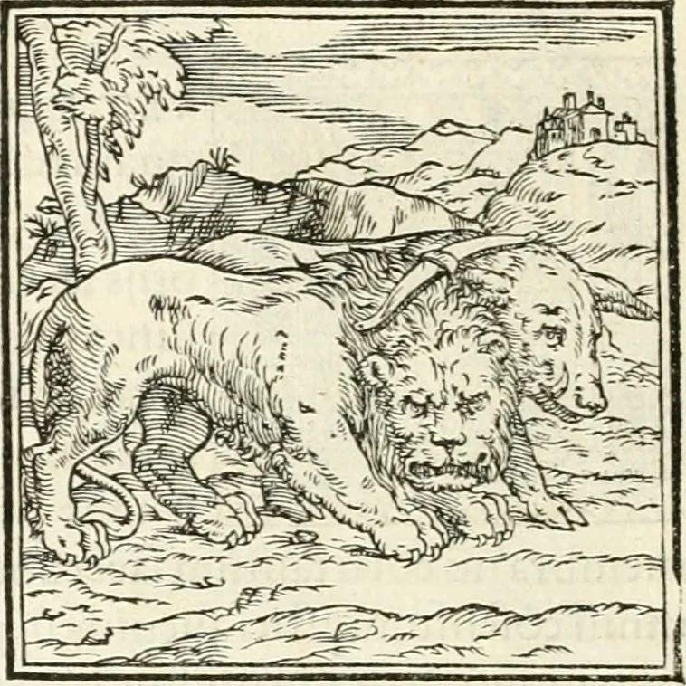 An illustration from Hieroglyphica, sive, De sacris Aegyptiorvm literis commentarii, 1556, leaf 17