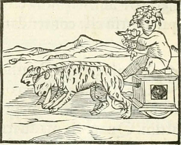 An illustration from Hieroglyphica, sive, De sacris Aegyptiorvm literis commentarii, 1556, leaf 171
