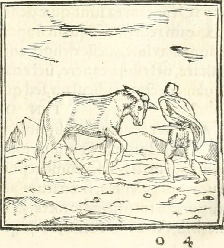 An illustration from Hieroglyphica, sive, De sacris Aegyptiorvm literis commentarii, 1556, leaf 178