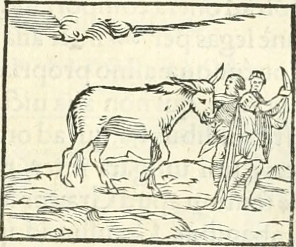 An illustration from Hieroglyphica, sive, De sacris Aegyptiorvm literis commentarii, 1556, leaf 180