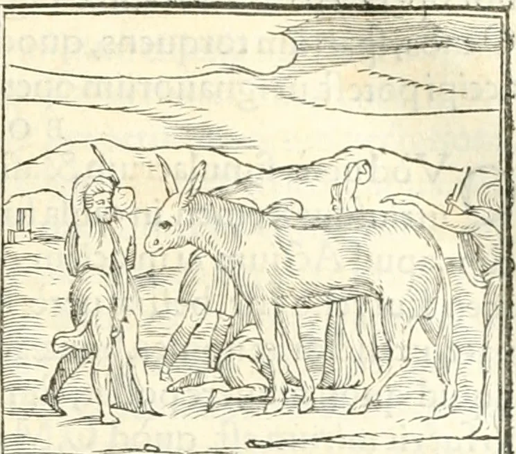 An illustration from Hieroglyphica, sive, De sacris Aegyptiorvm literis commentarii, 1556, leaf 182
