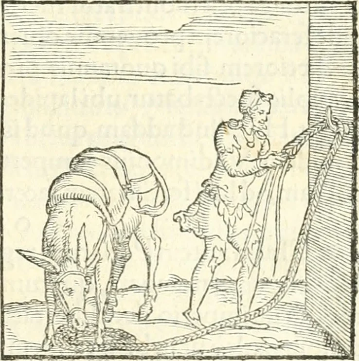 An illustration from Hieroglyphica, sive, De sacris Aegyptiorvm literis commentarii, 1556, leaf 182