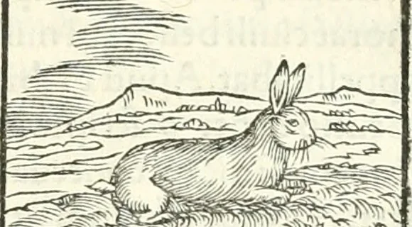 An illustration from Hieroglyphica, sive, De sacris Aegyptiorvm literis commentarii, 1556, leaf 192