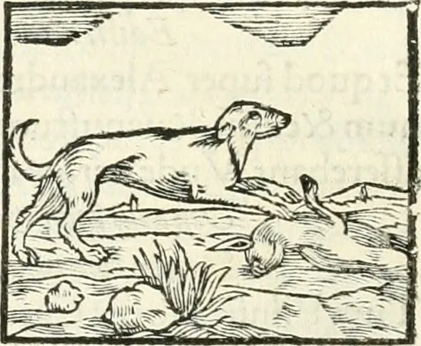 An illustration from Hieroglyphica, sive, De sacris Aegyptiorvm literis commentarii, 1556, leaf 195