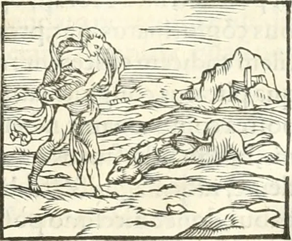 An illustration from Hieroglyphica, sive, De sacris Aegyptiorvm literis commentarii, 1556, leaf 200
