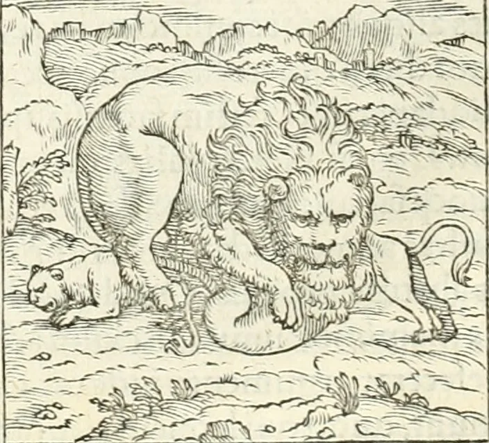 An illustration from Hieroglyphica, sive, De sacris Aegyptiorvm literis commentarii, 1556, leaf 21