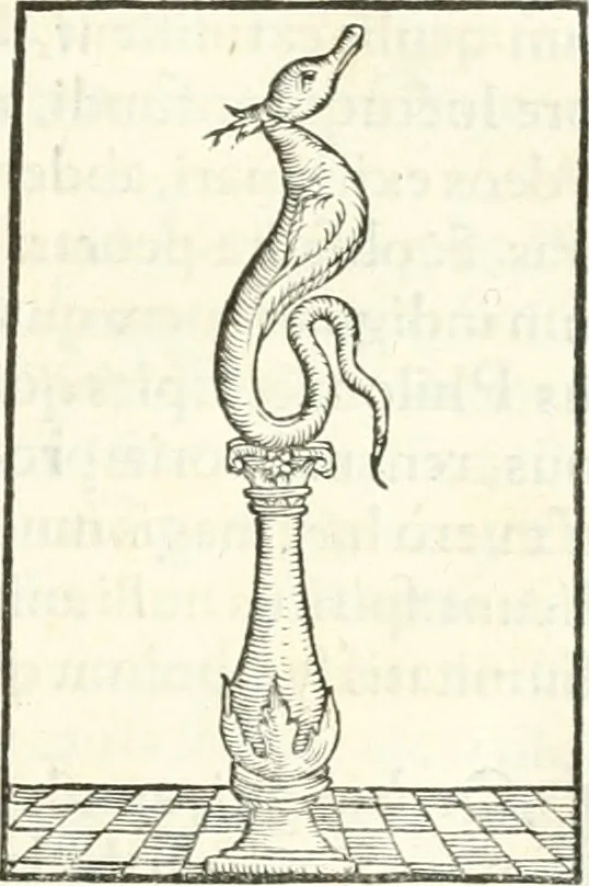 An illustration from Hieroglyphica, sive, De sacris Aegyptiorvm literis commentarii, 1556, leaf 212