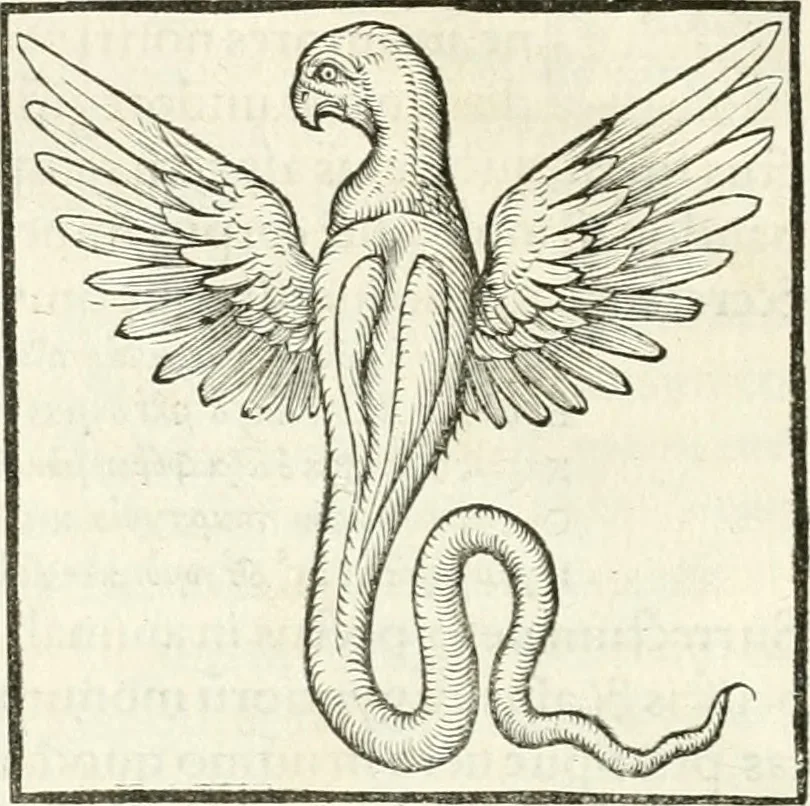 An illustration from Hieroglyphica, sive, De sacris Aegyptiorvm literis commentarii, 1556, leaf 213