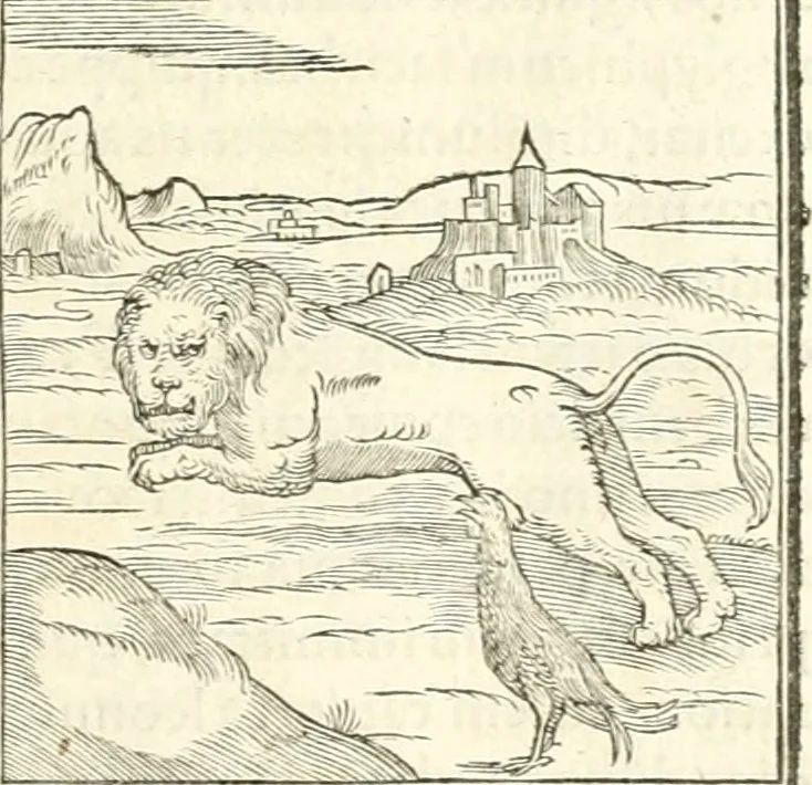 An illustration from Hieroglyphica, sive, De sacris Aegyptiorvm literis commentarii, 1556, leaf 24