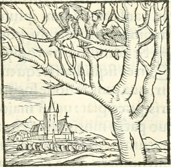 An illustration from Hieroglyphica, sive, De sacris Aegyptiorvm literis commentarii, 1556, leaf 252