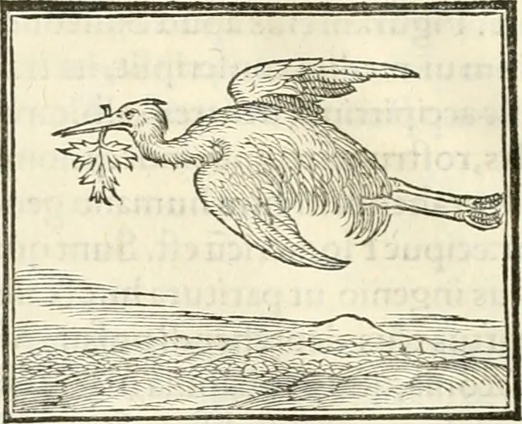 An illustration from Hieroglyphica, sive, De sacris Aegyptiorvm literis commentarii, 1556, leaf 253