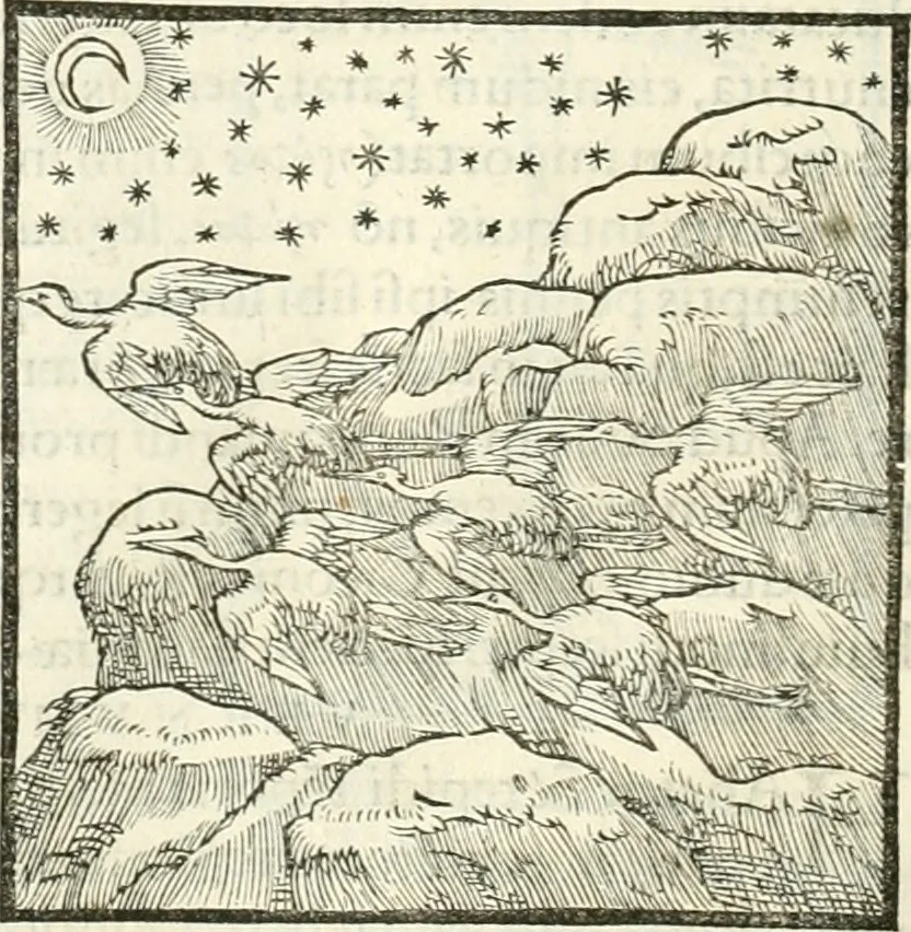 An illustration from Hieroglyphica, sive, De sacris Aegyptiorvm literis commentarii, 1556, leaf 253