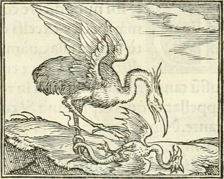 An illustration from Hieroglyphica, sive, De sacris Aegyptiorvm literis commentarii, 1556, leaf 257