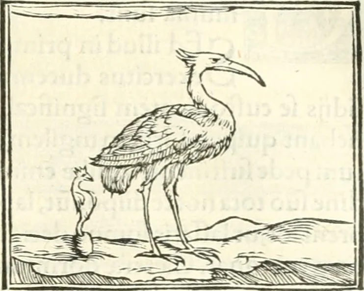 An illustration from Hieroglyphica, sive, De sacris Aegyptiorvm literis commentarii, 1556, leaf 258
