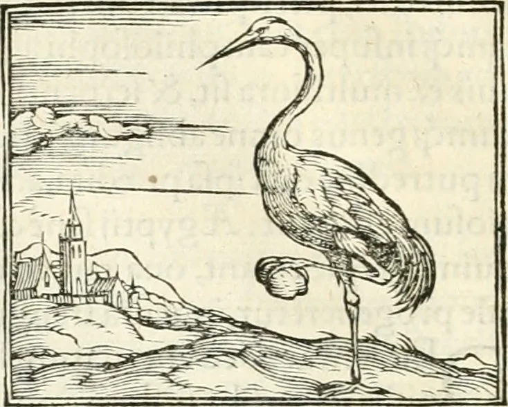 An illustration from Hieroglyphica, sive, De sacris Aegyptiorvm literis commentarii, 1556, leaf 259