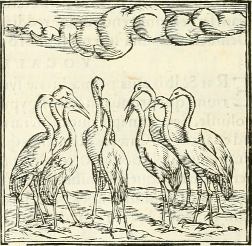 An illustration from Hieroglyphica, sive, De sacris Aegyptiorvm literis commentarii, 1556, leaf 259