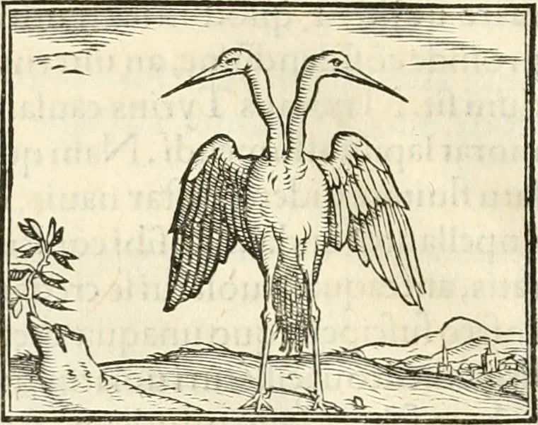 An illustration from Hieroglyphica, sive, De sacris Aegyptiorvm literis commentarii, 1556, leaf 261