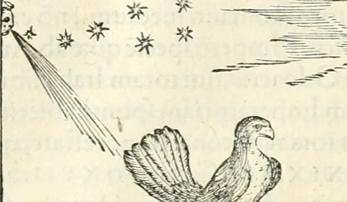An illustration from Hieroglyphica, sive, De sacris Aegyptiorvm literis commentarii, 1556, leaf 265