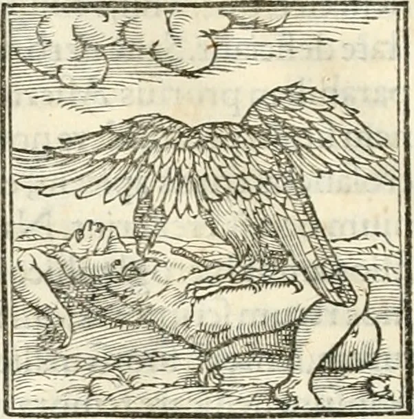 An illustration from Hieroglyphica, sive, De sacris Aegyptiorvm literis commentarii, 1556, leaf 269