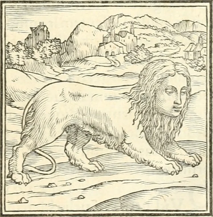 An illustration from Hieroglyphica, sive, De sacris Aegyptiorvm literis commentarii, 1556, leaf 28