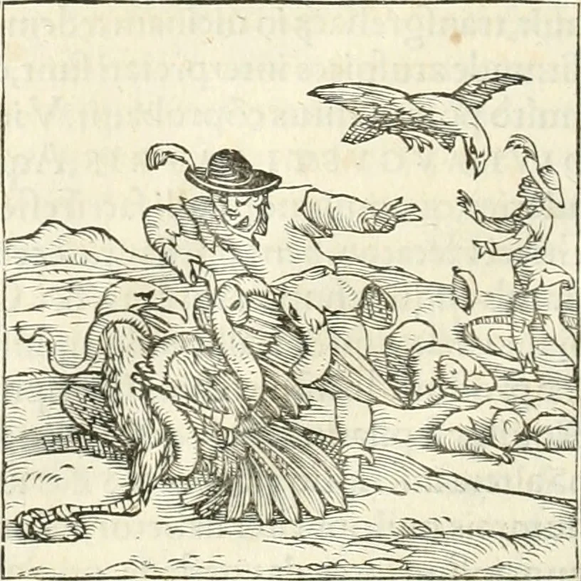 An illustration from Hieroglyphica, sive, De sacris Aegyptiorvm literis commentarii, 1556, leaf 281