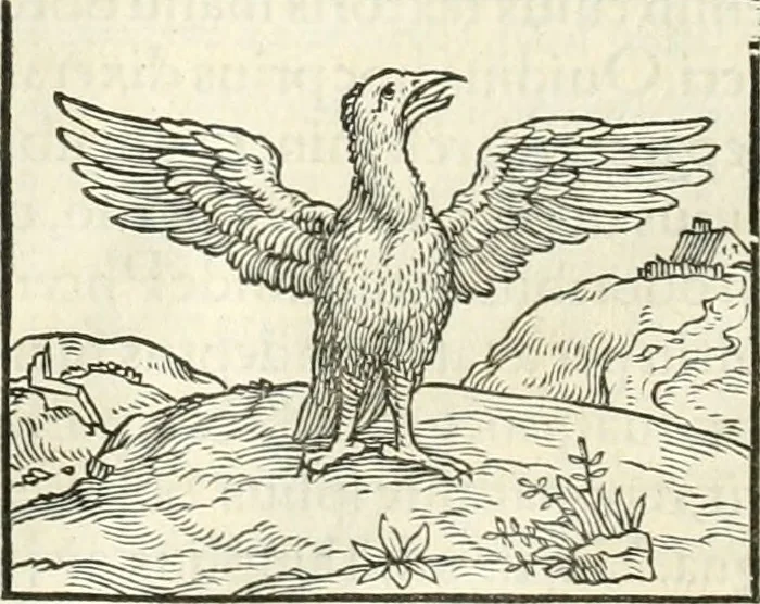 An illustration from Hieroglyphica, sive, De sacris Aegyptiorvm literis commentarii, 1556, leaf 291