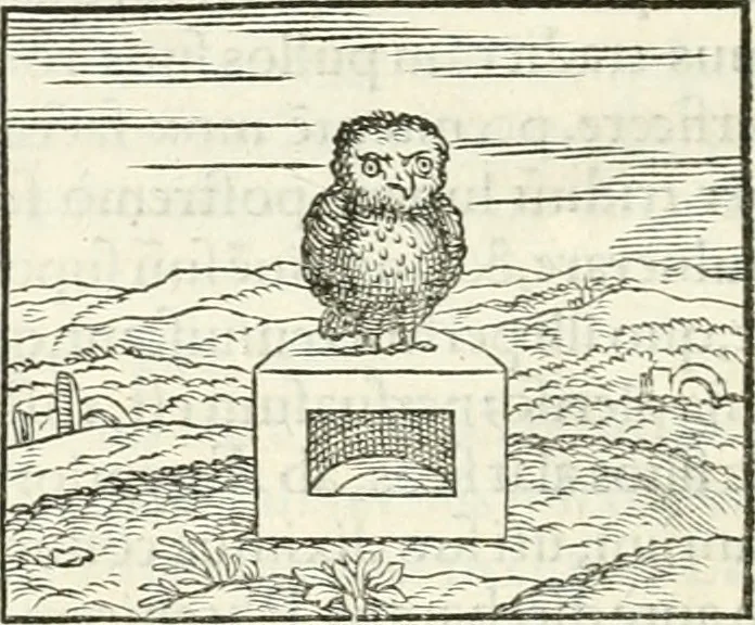 An illustration from Hieroglyphica, sive, De sacris Aegyptiorvm literis commentarii, 1556, leaf 295