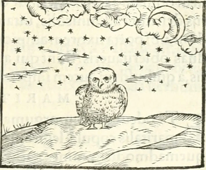 An illustration from Hieroglyphica, sive, De sacris Aegyptiorvm literis commentarii, 1556, leaf 298