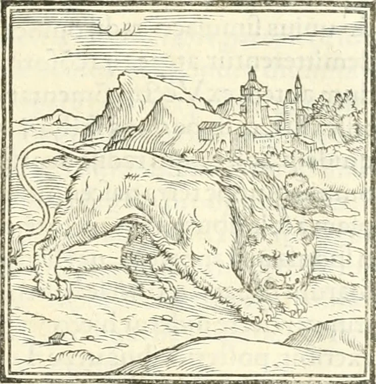 An illustration from Hieroglyphica, sive, De sacris Aegyptiorvm literis commentarii, 1556, leaf 30