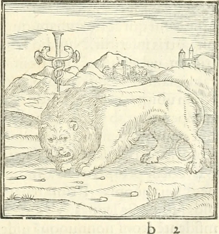 An illustration from Hieroglyphica, sive, De sacris Aegyptiorvm literis commentarii, 1556, leaf 30