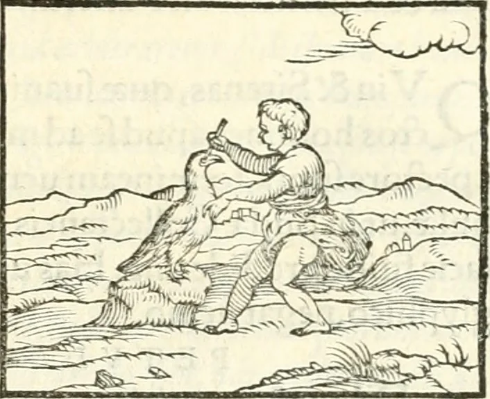 An illustration from Hieroglyphica, sive, De sacris Aegyptiorvm literis commentarii, 1556, leaf 302