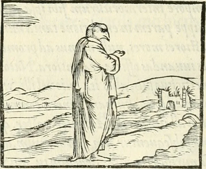 An illustration from Hieroglyphica, sive, De sacris Aegyptiorvm literis commentarii, 1556, leaf 305