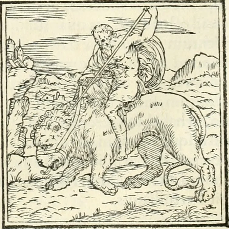 An illustration from Hieroglyphica, sive, De sacris Aegyptiorvm literis commentarii, 1556, leaf 31