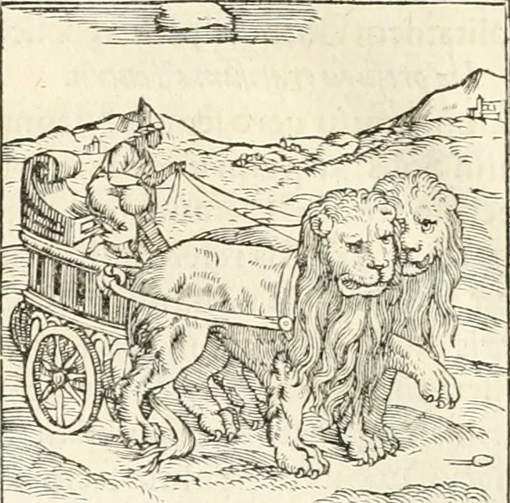 An illustration from Hieroglyphica, sive, De sacris Aegyptiorvm literis commentarii, 1556, leaf 33