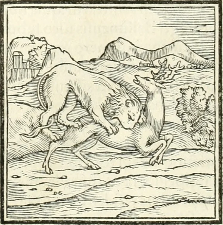 An illustration from Hieroglyphica, sive, De sacris Aegyptiorvm literis commentarii, 1556, leaf 33
