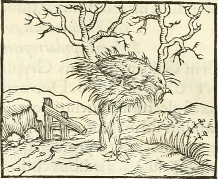 An illustration from Hieroglyphica, sive, De sacris Aegyptiorvm literis commentarii, 1556, leaf 339