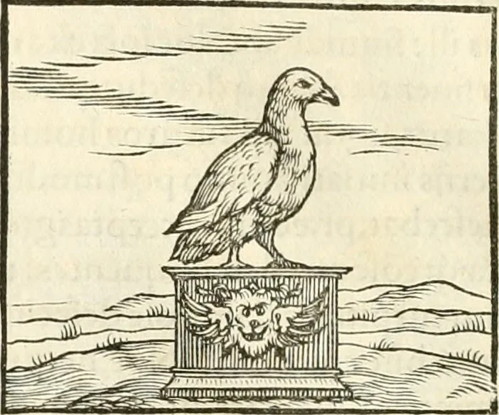 An illustration from Hieroglyphica, sive, De sacris Aegyptiorvm literis commentarii, 1556, leaf 341