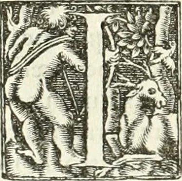 An illustration from Hieroglyphica, sive, De sacris Aegyptiorvm literis commentarii, 1556, leaf 343