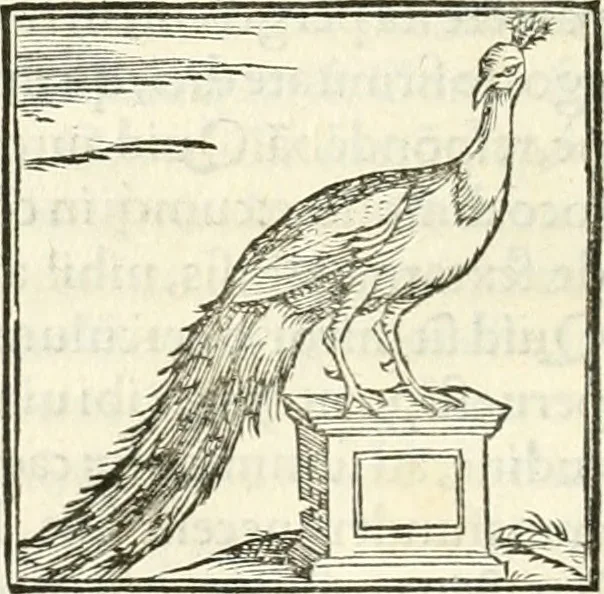 An illustration from Hieroglyphica, sive, De sacris Aegyptiorvm literis commentarii, 1556, leaf 343