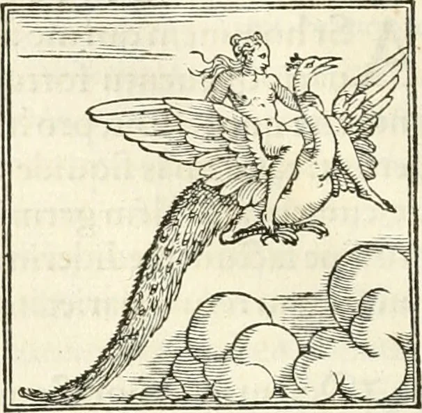 An illustration from Hieroglyphica, sive, De sacris Aegyptiorvm literis commentarii, 1556, leaf 345