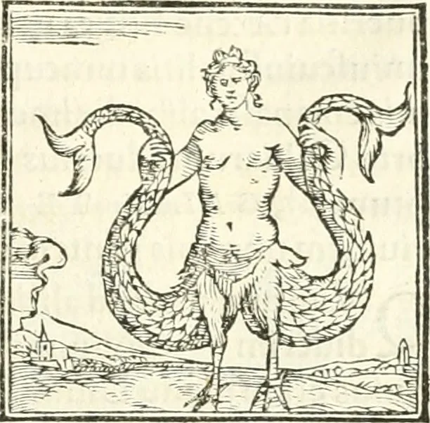 An illustration from Hieroglyphica, sive, De sacris Aegyptiorvm literis commentarii, 1556, leaf 346
