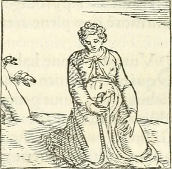 An illustration from Hieroglyphica, sive, De sacris Aegyptiorvm literis commentarii, 1556, leaf 347