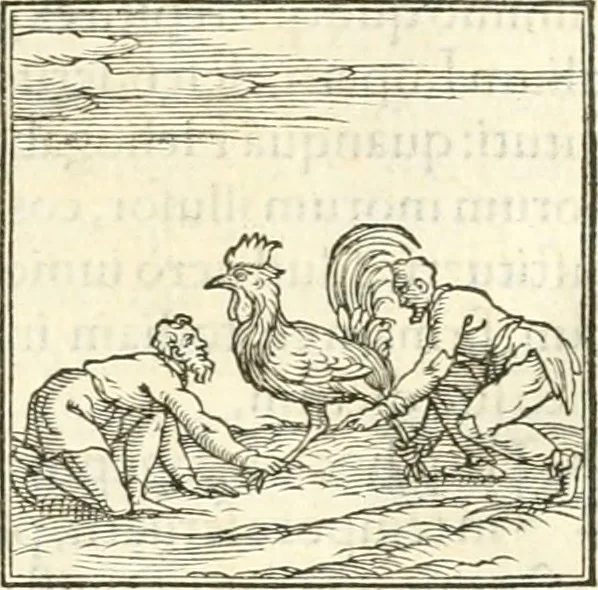 An illustration from Hieroglyphica, sive, De sacris Aegyptiorvm literis commentarii, 1556, leaf 350