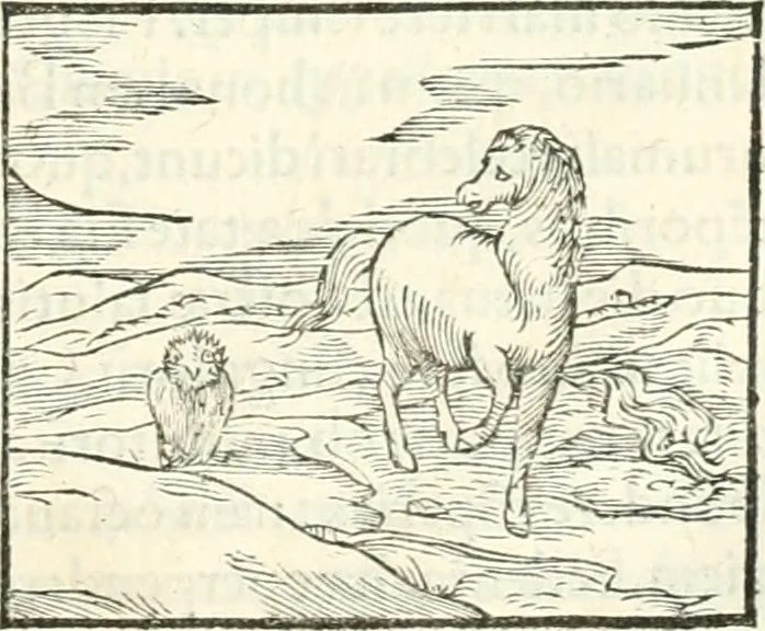An illustration from Hieroglyphica, sive, De sacris Aegyptiorvm literis commentarii, 1556, leaf 362