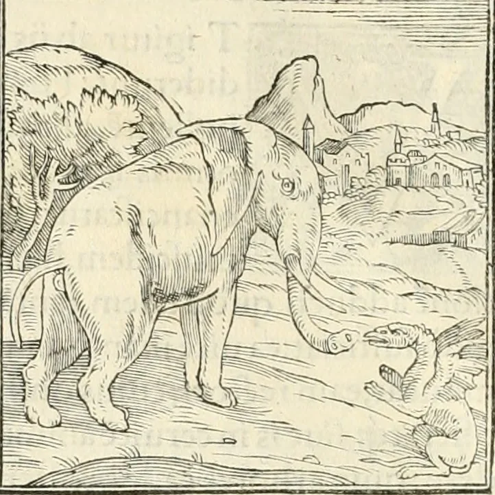 An illustration from Hieroglyphica, sive, De sacris Aegyptiorvm literis commentarii, 1556, leaf 37