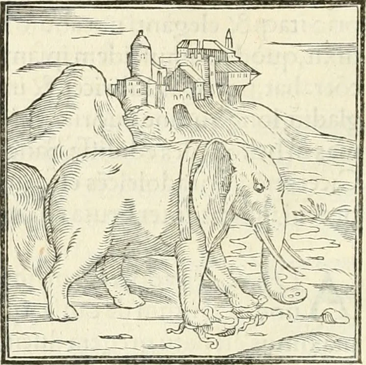 An illustration from Hieroglyphica, sive, De sacris Aegyptiorvm literis commentarii, 1556, leaf 37