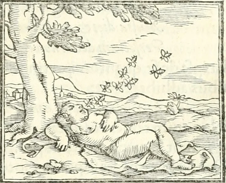 An illustration from Hieroglyphica, sive, De sacris Aegyptiorvm literis commentarii, 1556, leaf 374