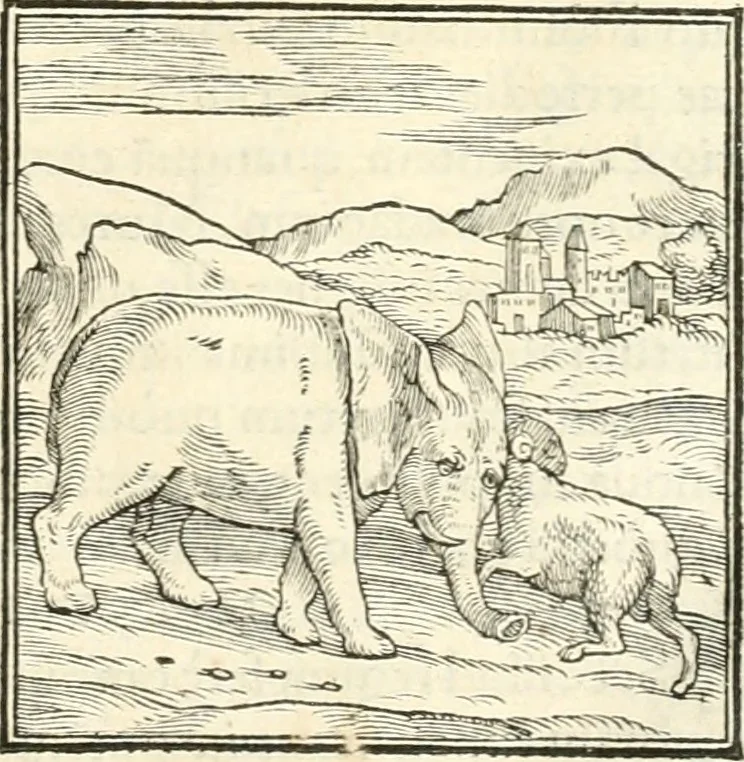 An illustration from Hieroglyphica, sive, De sacris Aegyptiorvm literis commentarii, 1556, leaf 38